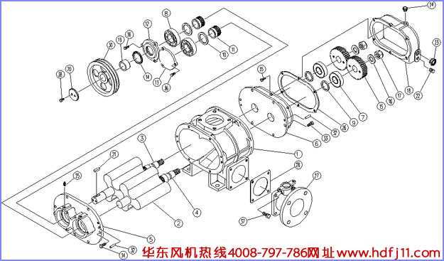 羅茨風機結(jié)構圖.jpg